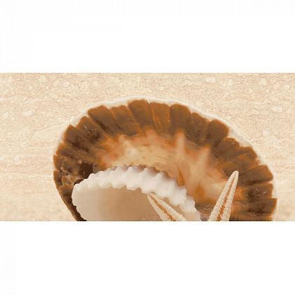 декоративный массив аликанте бежевый (07-00-5-10-00-11-121) 25х50 (13 шт) верх жемчужина на песке